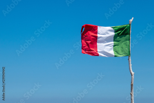 Fotografie La bandiera italiana sventola al vento, attaccata ad un ramo bianco, sullo sfond