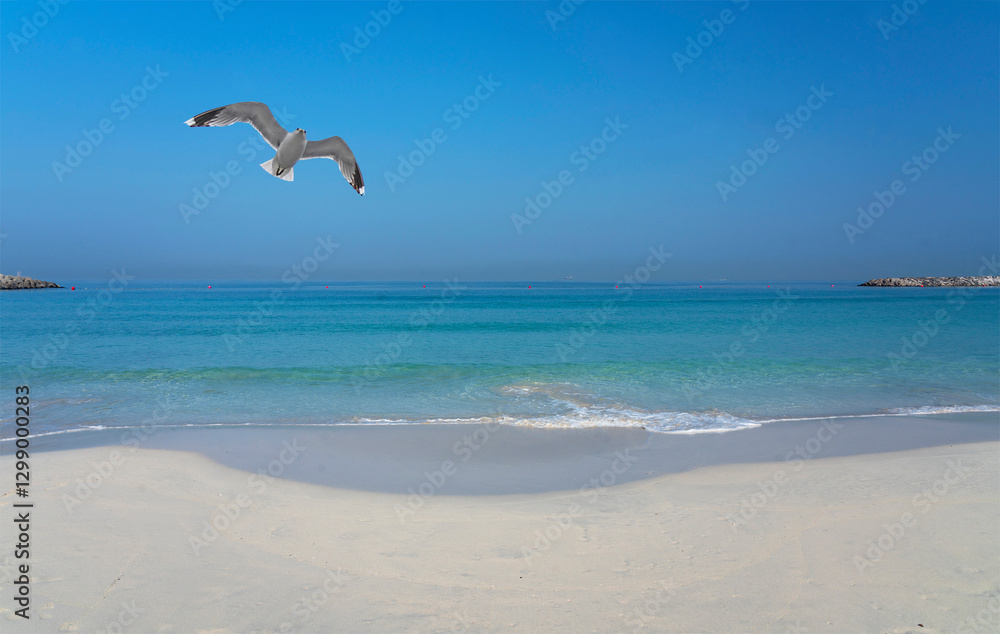 Fujairah beach, United Arab Emirates