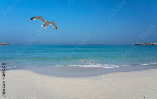 Obraz na płótnie Fujairah beach, United Arab Emirates w salonie