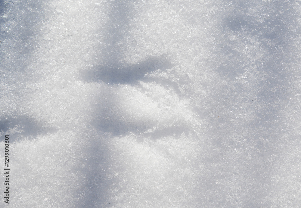 Bird feet traces in snow, abstract background, frost weather