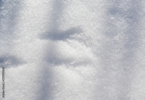 Obraz na płótnie Bird feet traces in snow, abstract background, frost weather w salonie