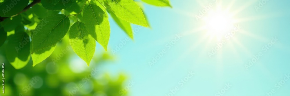 Vibrant green leaves against sunny summer sky, vegetation, park, bush Vibrant green leaves against sunny summer sky, vegetation, park, bush