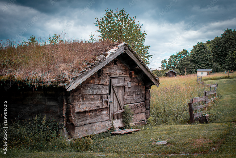 An abandoned wooden cabin, with a roof that has long been overgrown with grass. An abandoned wooden cabin, with a roof that has long been overgrown with grass.