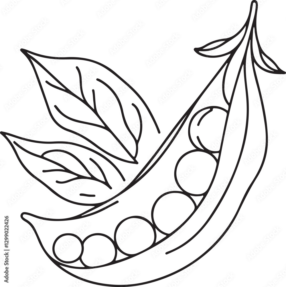 Naklejka premium Minimalist Peas Line Drawing Illustration - Vector Art