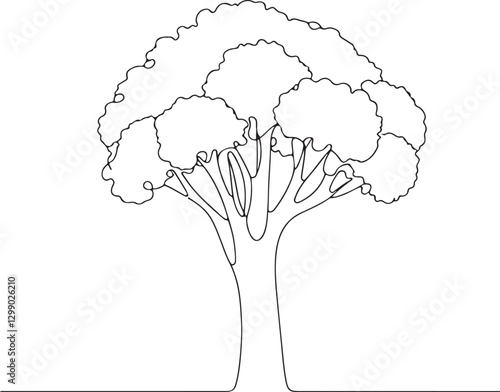 Elegant Line Drawing of Broccoli in Vector Art Style