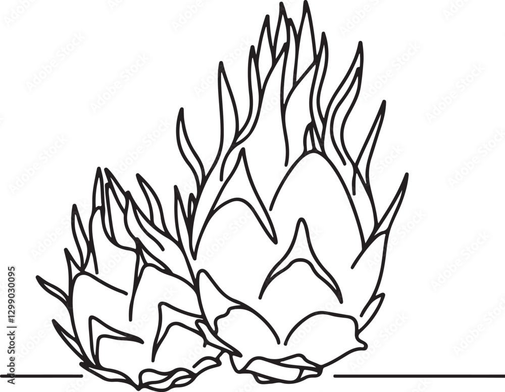 Dragonfruit Line Drawing | High-Quality Vector Art Dragonfruit Line Drawing | High-Quality Vector Art
