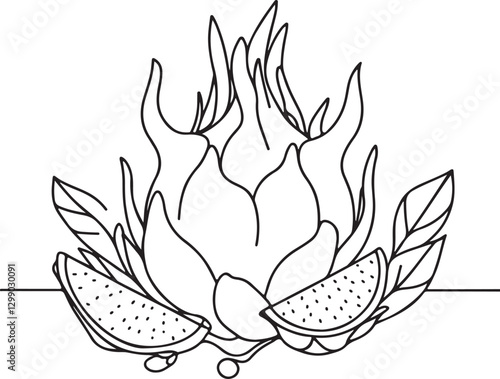 Dragonfruit Line Drawing | High-Quality Vector Art