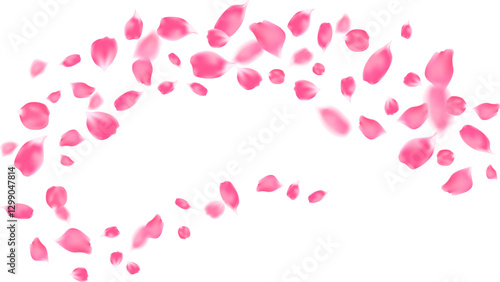 Valentine's day card with pink rose petals elements in dynamic composition. aroma spa