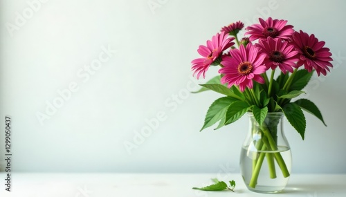 Fresh echinacea leaves and stems in a vase with fresh flowers, botanicals, echinacea, stem