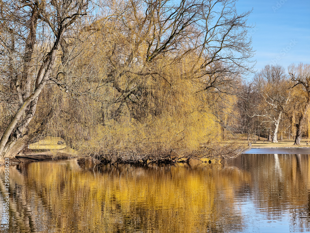 Fototapeta premium Early spring in the park when the snow has already melted but nothing has started to bloom yet.