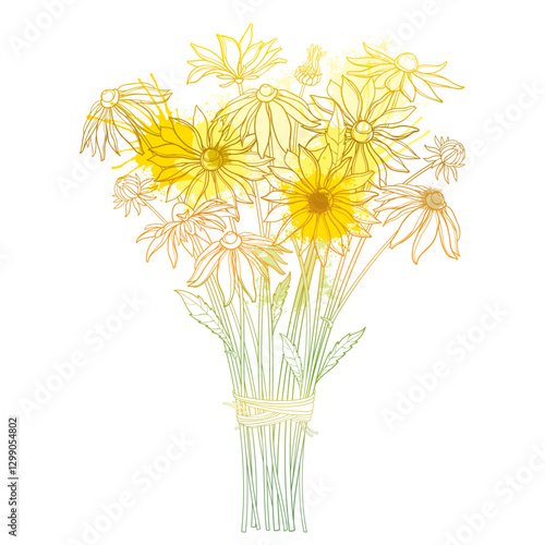 Bouquet of outline Rudbeckia or black-eyed Susan flowers in pastel yellow isolated on white background. 