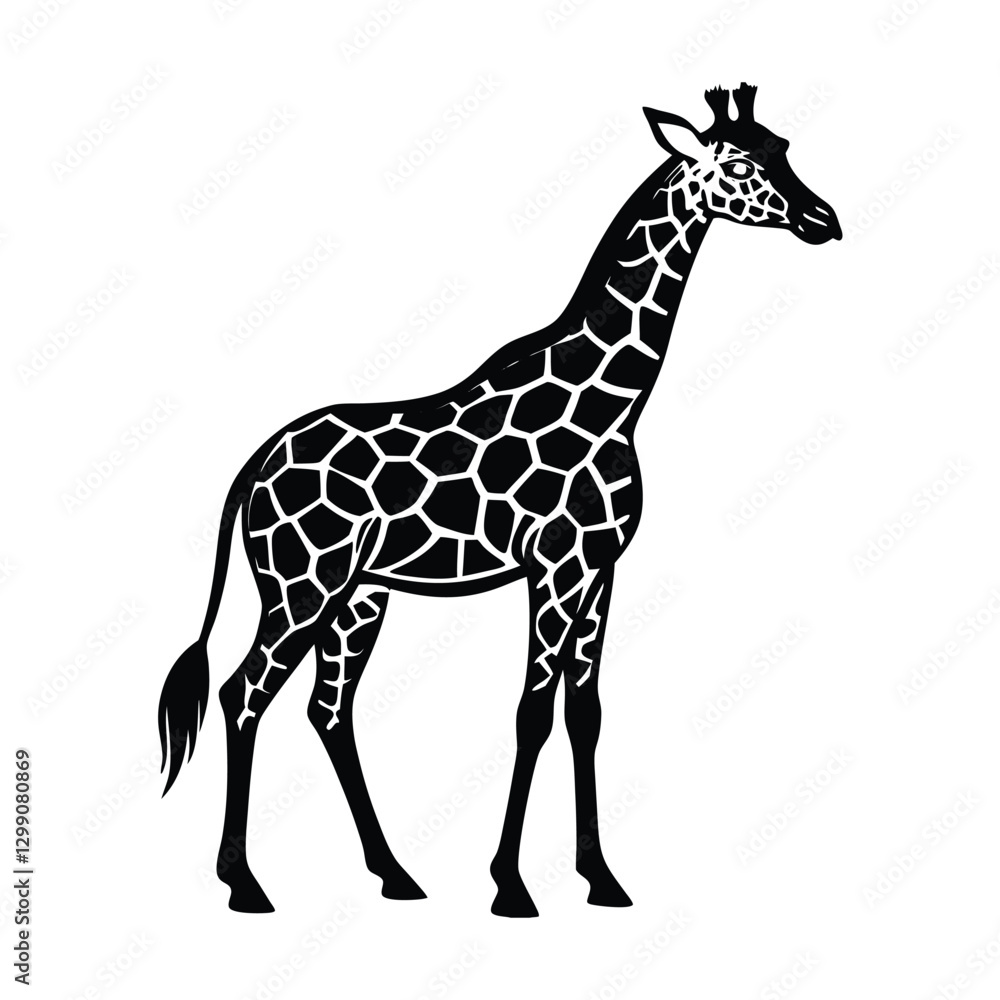 Fototapeta premium Giraffe vector illustration Silhouette on white background