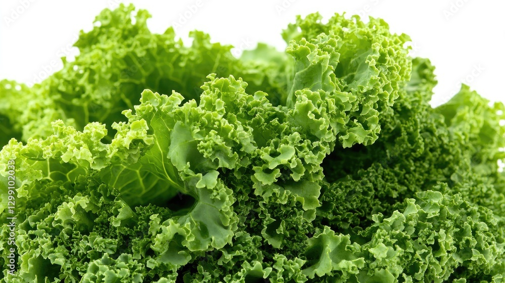 Floating curly kale leaves in mid-air, emphasizing their rich green texture and ruffled edges against a clean white background. Floating curly kale leaves in mid-air, emphasizing their rich green texture and ruffled edges against a clean white background.