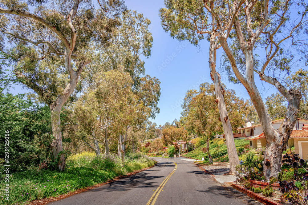 Streets and Roads throughout Palos Verdes Estates in Southern California on a beautiful sunny day