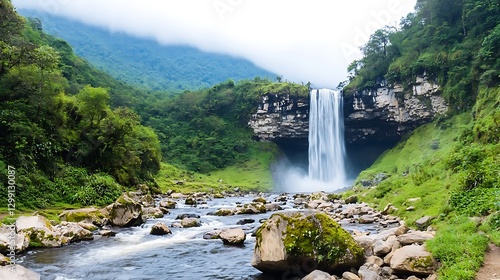 Waterfall in Lush Rainforest