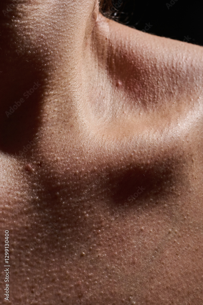 Fototapeta premium Piel