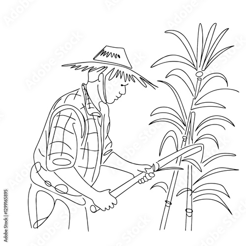 Farmer Harvesting Sugarcane Line Art Vector Illustration Agriculture Hat Traditional Farming