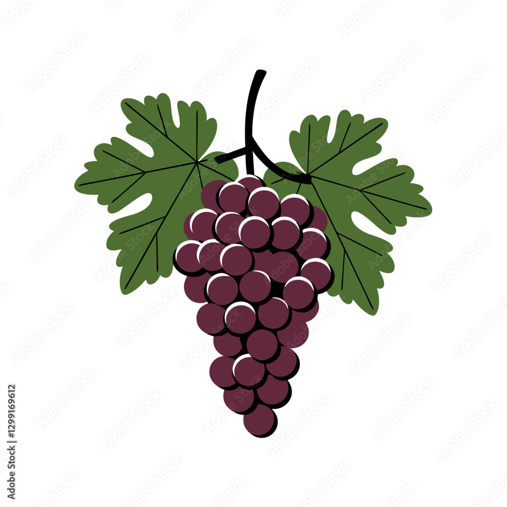 Fototapeta premium Bunch of Purple Grapes with Green Leaves Vector Illustration