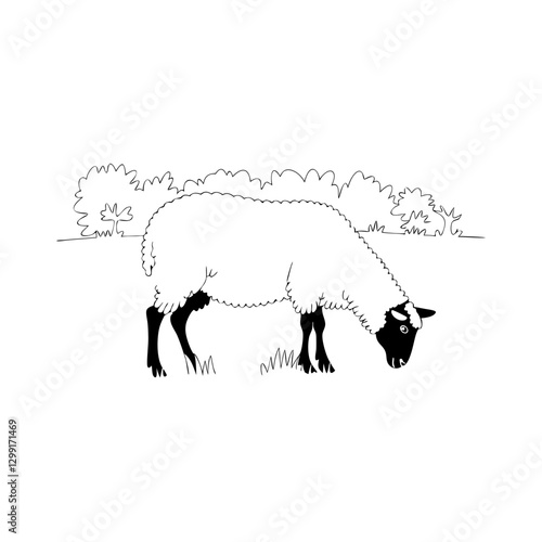 Grazing Sheep in Pasture Simple Vector Illustration of Farm Life