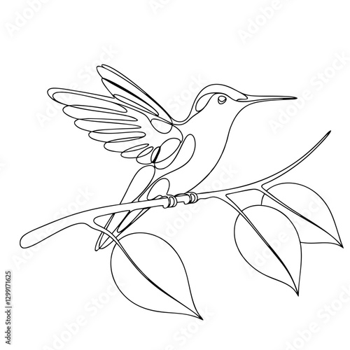 Continuous Line Art Hummingbird on Branch Vector Design for Nature Illustrations