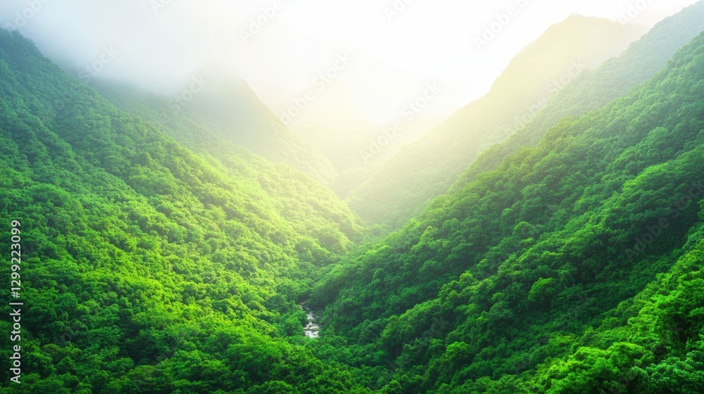 Naklejka premium Mountain vista with lush greenery, soft sunlight, and a tranquil stream running through