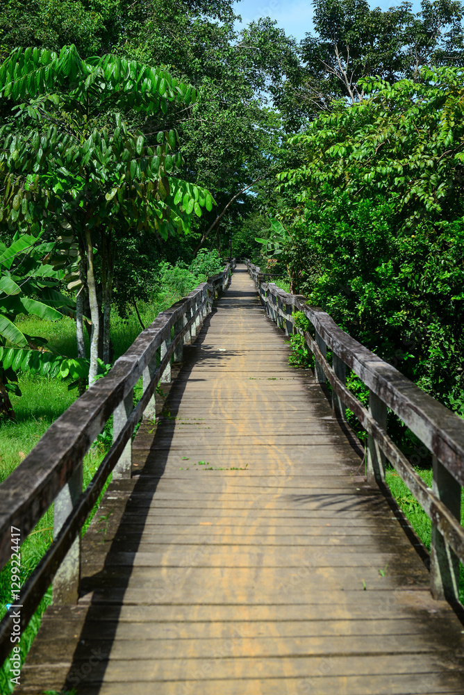 One of the many footbridges in the riverside village of Calama, Porto Velho, Rondonia state, Brazil. One of the many footbridges in the riverside village of Calama, Porto Velho, Rondonia state, Brazil.