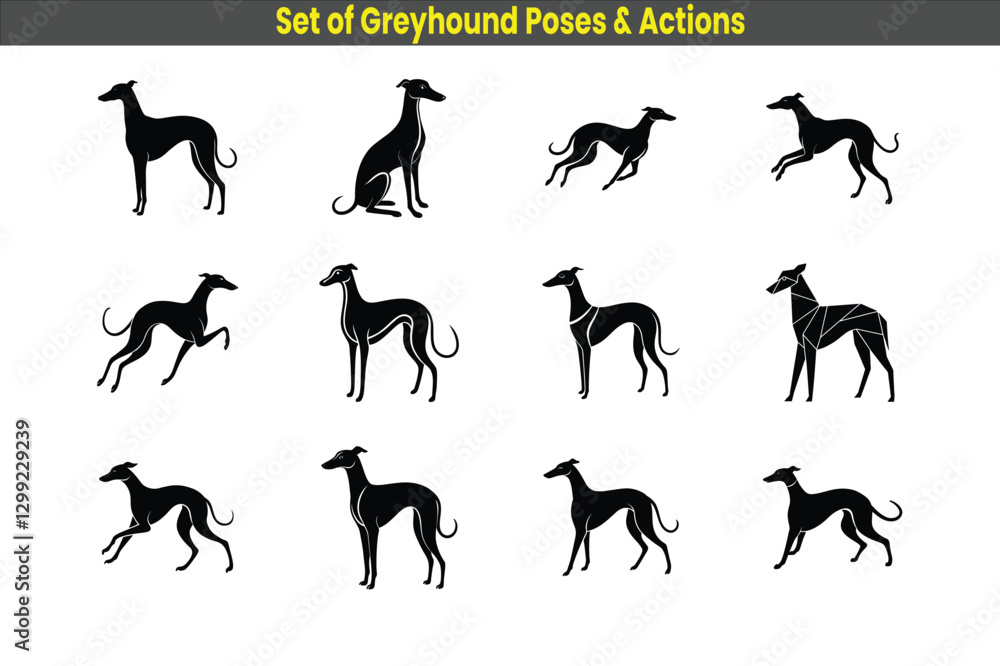 Greyhound, Greyhound dog silhouettes , Italian greyhound, A set of greyhound poses and actions. Greyhound, Greyhound dog silhouettes , Italian greyhound, A set of greyhound poses and actions.