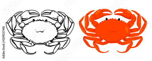 Red  Crab and vector hand drawn Crab isolated on white background, cartoon style.Vector.