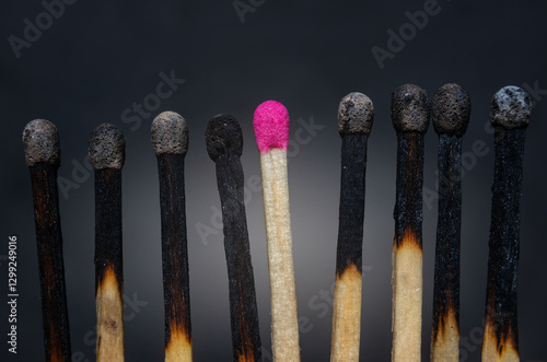 Canvas Print Unique match represents leadership among burnt matches in a dark setting