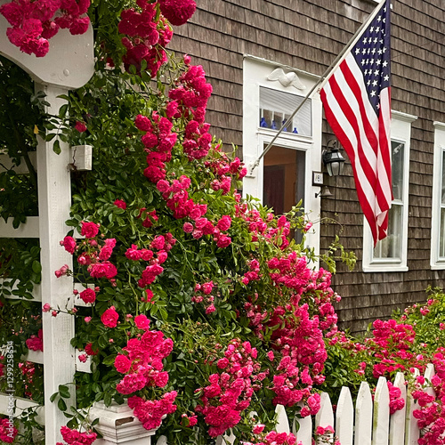 An American flag hangs on a house while the red roses bloom over white picket fence on the Fourth of July at a summer home on Cape Cod