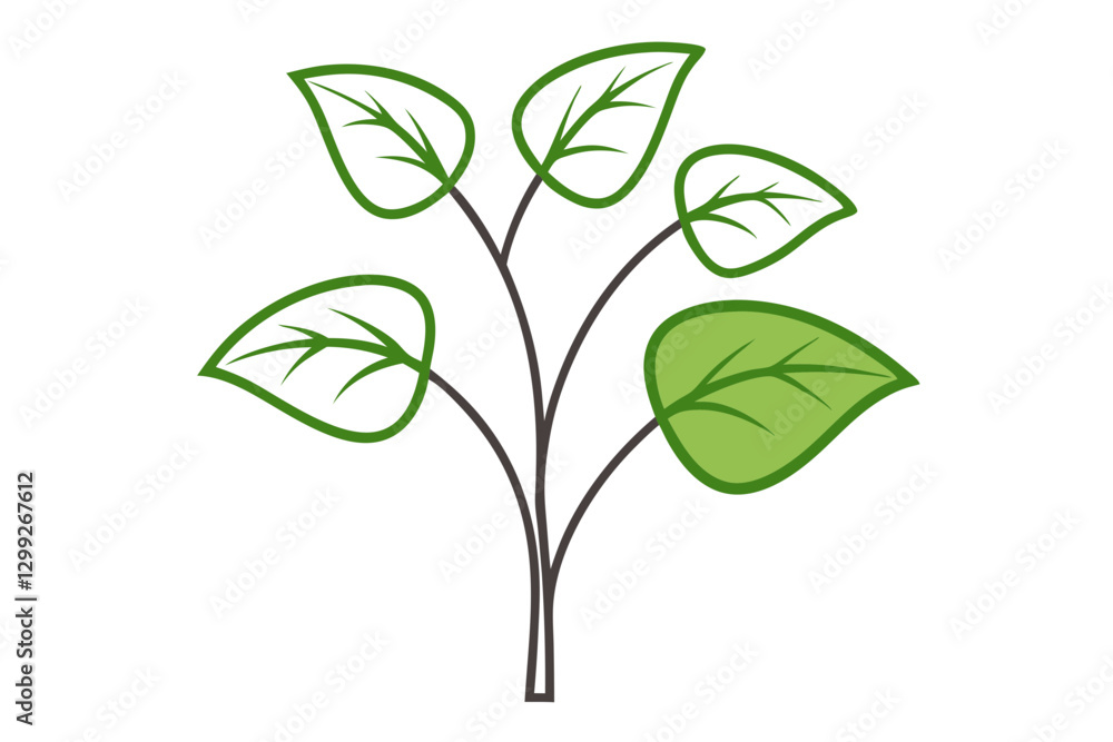 Brunnera Vector Illustration – Elegant Botanical Art Brunnera Vector Illustration – Elegant Botanical Art
