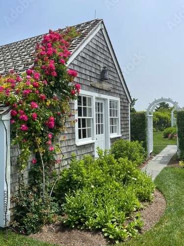 Roses bloom on the exterior wall  of a summer home near a path leading to an arbor in Siasconset Massachusetts on Nantucket Island 
