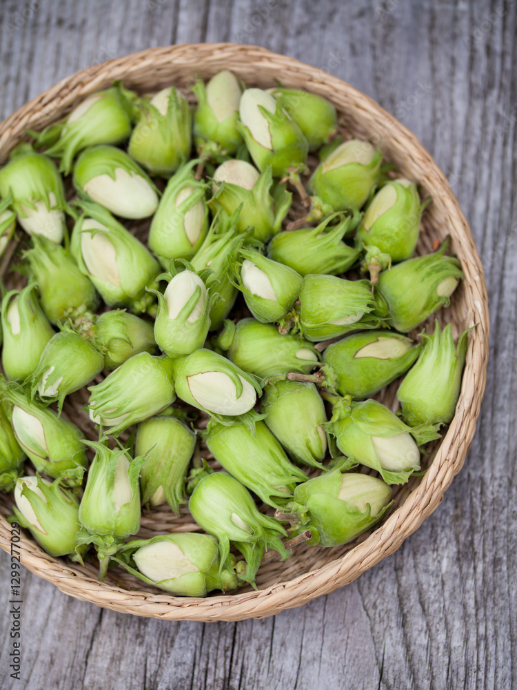 Hazelnut harvest - fresh, green hazelnuts on a gray wooden board background. Hazelnut harvest - fresh, green hazelnuts on a gray wooden board background.