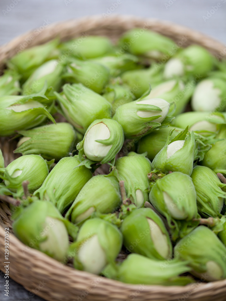 Hazelnut harvest - fresh, green hazelnuts on a gray wooden board background. Hazelnut harvest - fresh, green hazelnuts on a gray wooden board background.