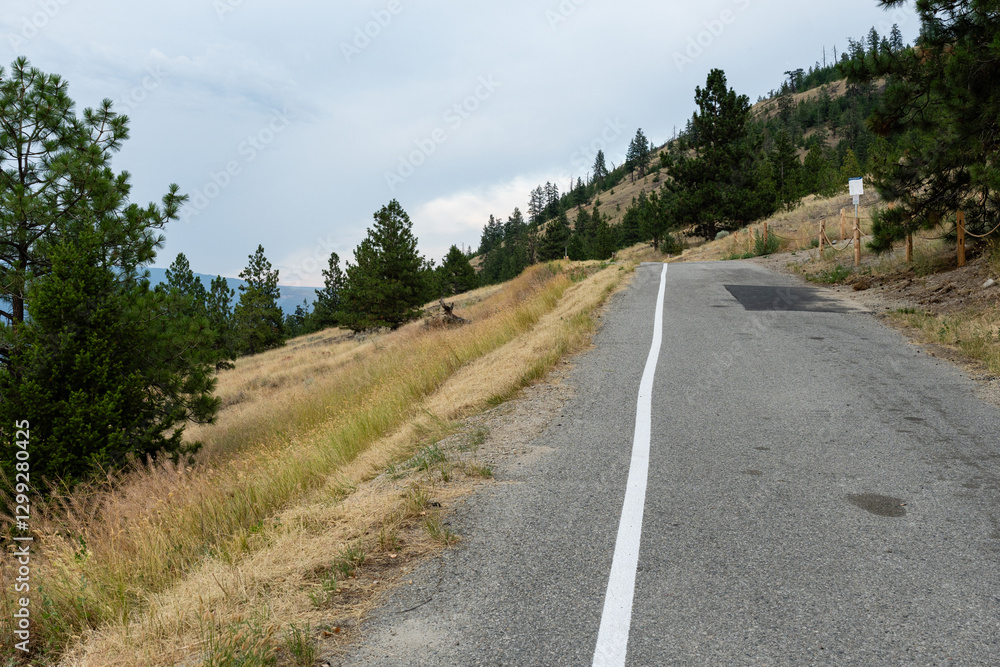 Fototapeta premium Scenic road and forest park during summer on overcast day at Giant's Head Mountain Park, British Columbia, Canada