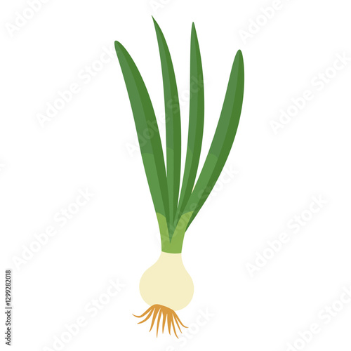 A simple vibrant illustration of a scallion featuring its pale bulb long green shoots and delicate roots against an isolated