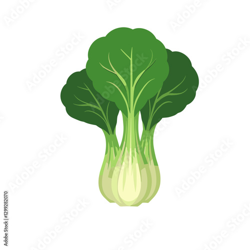 Cute flat vector illustration of vibrant green Bok Choy plants with a clean isolated background perfect for culinary and healthy food design elements