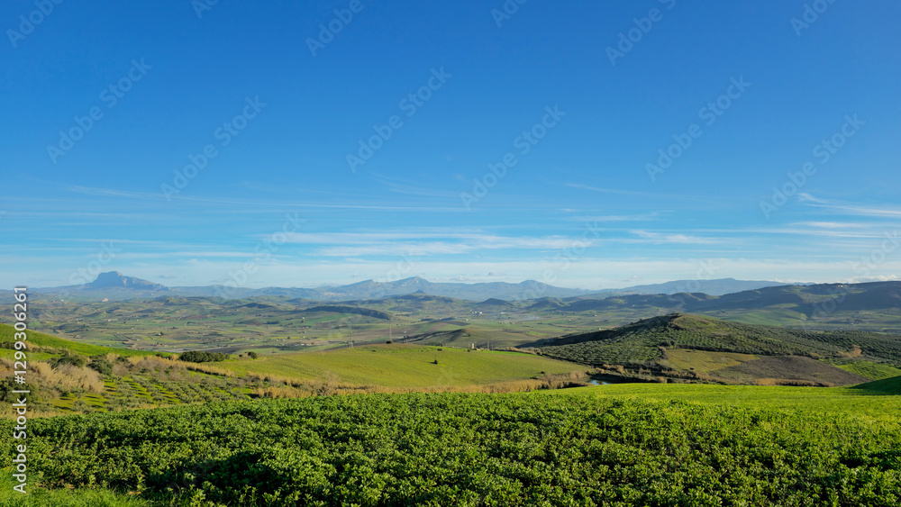 Fototapeta premium Scenic panoramic view of green hills with mountains on the horizon under a blue sky.