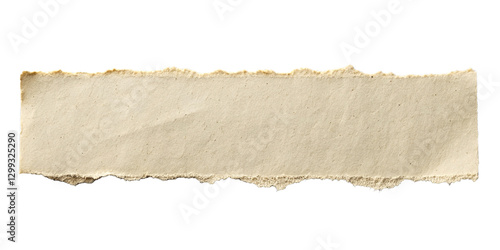 old paper paper texture isolated on white background