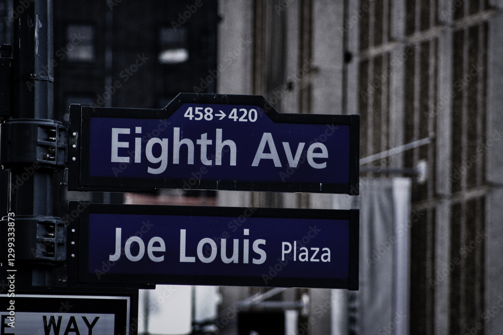 Obraz premium new york street sign