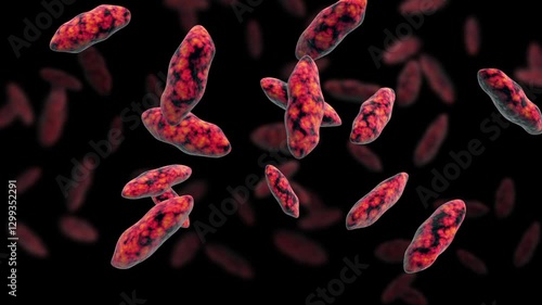 Biomedical animation of brucellosis.