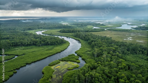 Aerial View of River Meande...