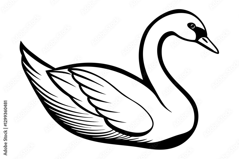 Elegant Mute Swan Vector Art Illustration Elegant Mute Swan Vector Art Illustration