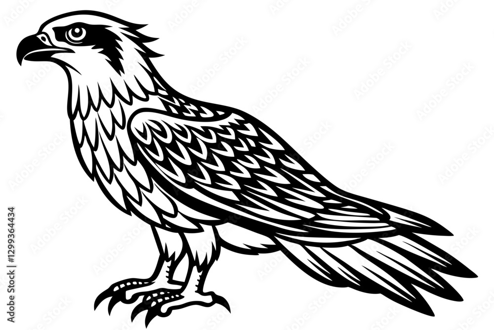 Fototapeta premium Minimalist Osprey Vector Art Design for Your Projects