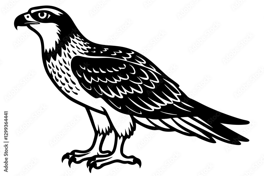 Minimalist Osprey Vector Art Design for Your Projects Minimalist Osprey Vector Art Design for Your Projects