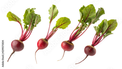 Four Beetroots with Greens,...