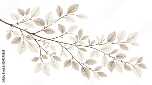 Elegant Sepia Branch with Leaves, Isolated on Transparent Background, Botanical Illustration, Nature Design, Leaf, Branch, Sepia