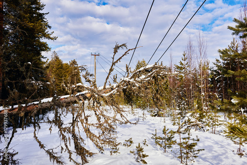High voltage power line damaged by fallen tree in remote winter forest, exhibiting stress on support structures and potential for widespread power outage impacting communications.