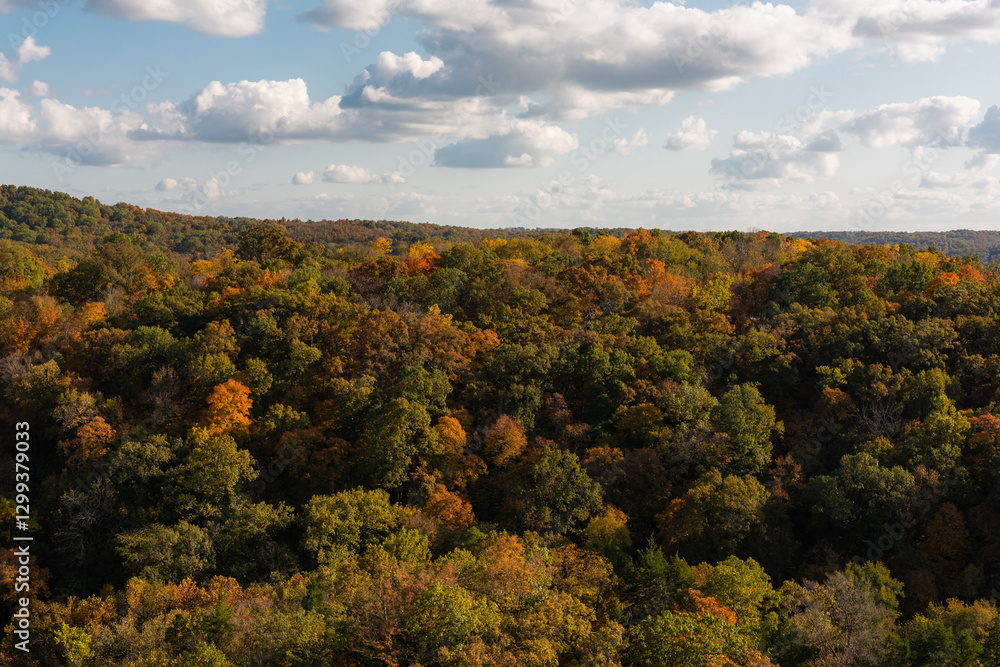 Obraz premium Fall colors in the trees, in the Missouri Ozarks.