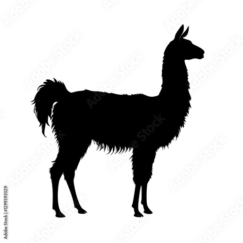 a black silhouette of a llama standing gracefully against a clean background. The image captures the llama's unique shape vector illustration